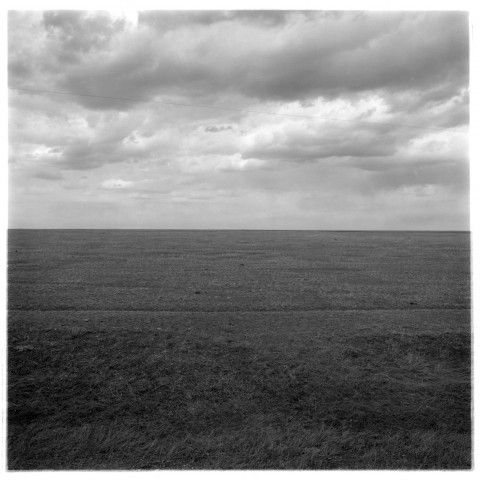 Polyptyque 1, détail 5 (Prairie), tirage argentique, 107 cm x 107 cm