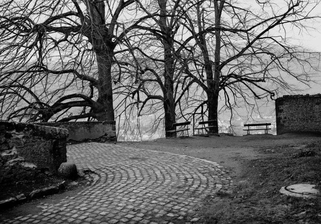 Triptyque 4, détail 1 (bancs publics), impression au jet d’encre, 107 cm  x 152 cm