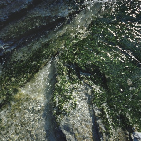 Mosaïque 3, détail 3 (Richard Baillargeon, Ruisseau Wilcox, 2004), impression au jet d’encre, 76 X 76 cm.