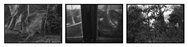 Triptyque 1, tirages argentiques, 76 cm x 326,5  cm.