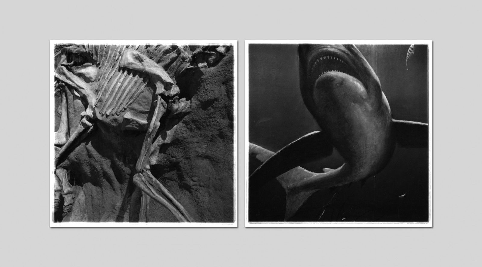 Diptyque 1, tirages argentiques, 107 cm x 218 cm
