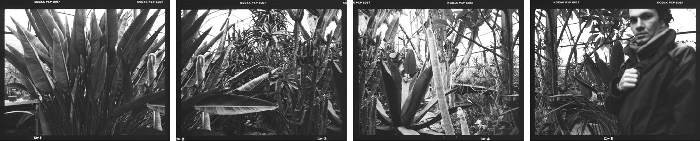 La serre, tirages argentiques noir et blanc, 40 cm x 200 cm.