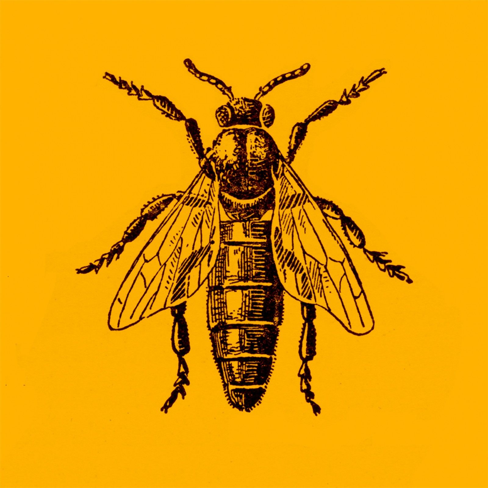 Polyptyque 8, détail 2 (La mouche), impression au jet d’encre, 101 cm x 101 cm