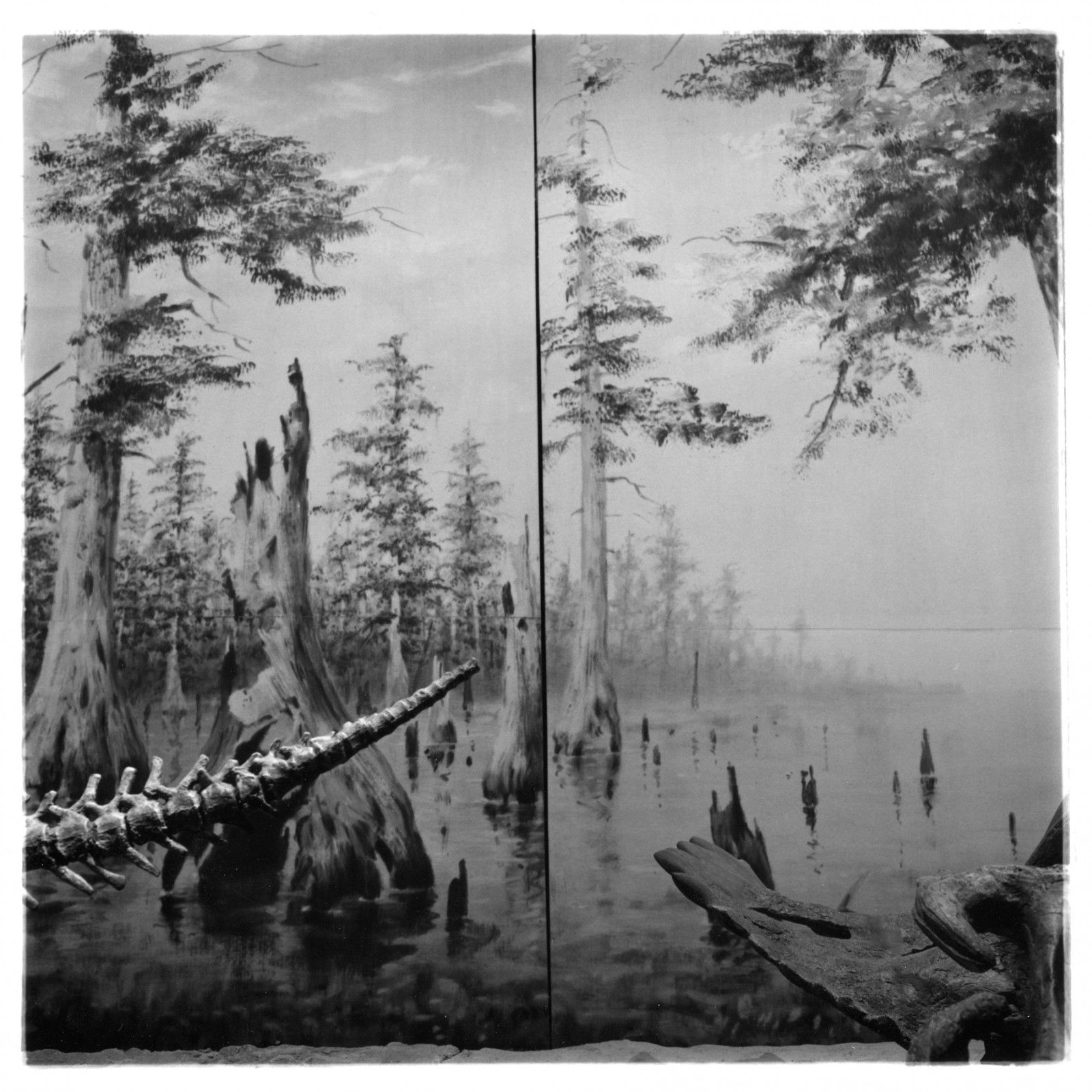 Triptyque 1, détail (Vertèbres et sable), tirage argentique, 53 cm x 53 cm