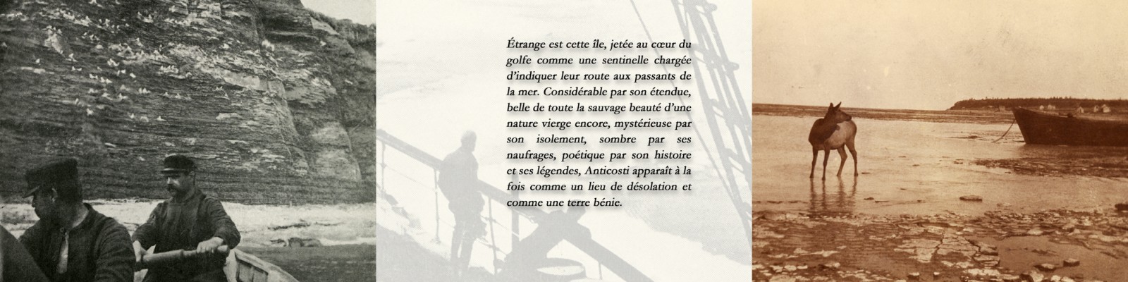 Tablette numérique, extrait du récit Telle une grande baleine.