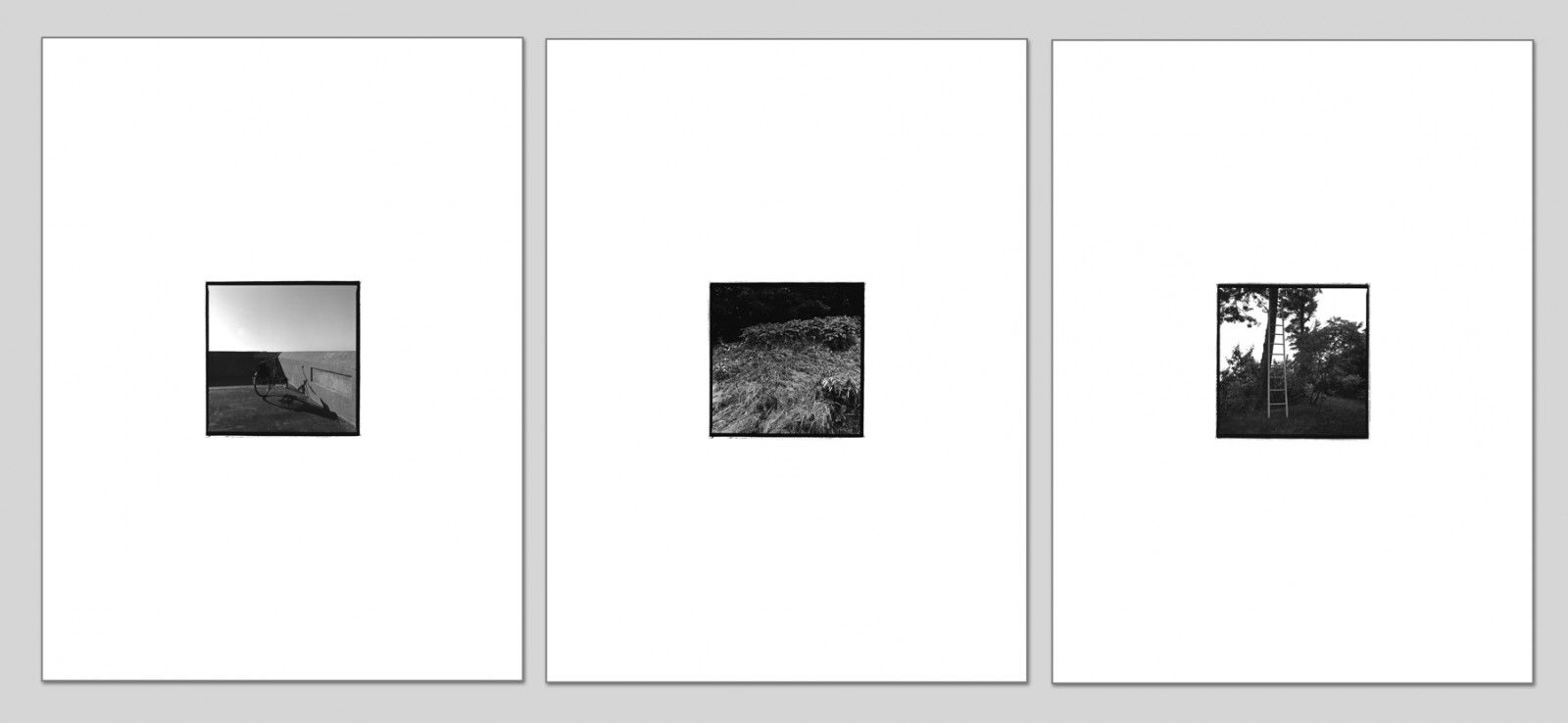 Triptyque 4, tirages argentiques, 60 cm x 150 cm.