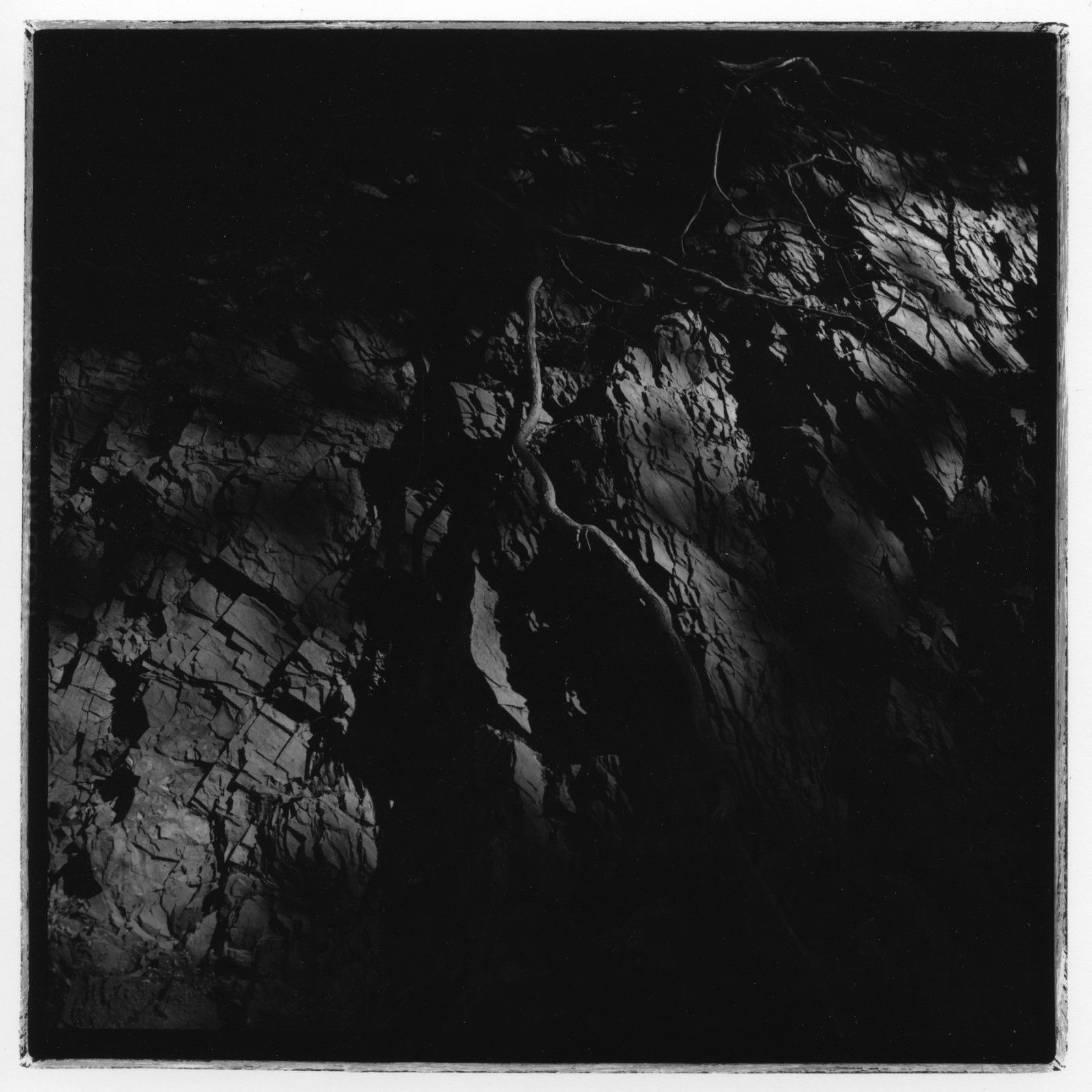 Triptyque 3, détail 1 (Rocher et racines), 76 cm x 76 cm.